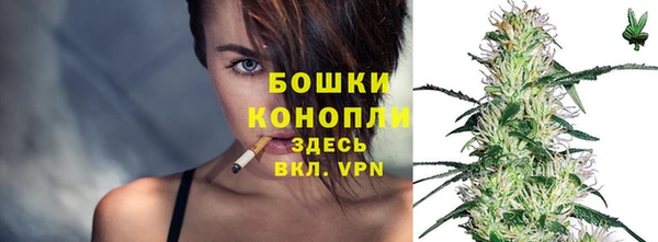 ГАЛЛЮЦИНОГЕННЫЕ ГРИБЫ Пестово