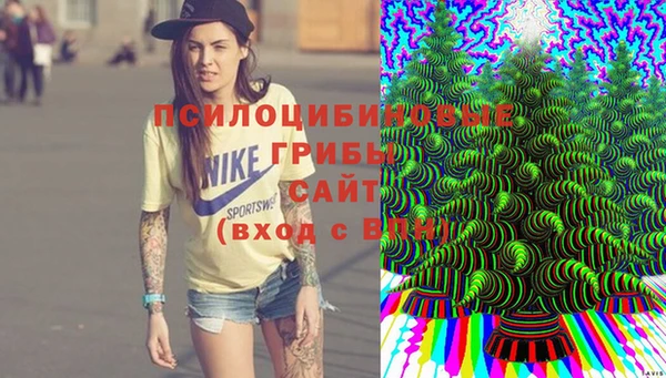 прущая мука Удомля