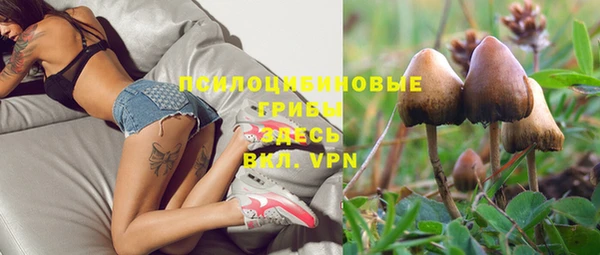 экстази Пересвет