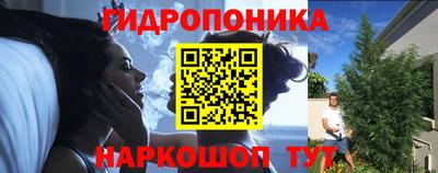 дурь Берёзовский