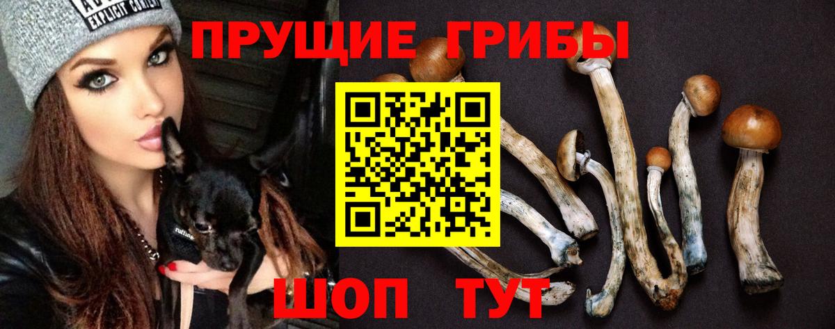 Галлюциногенные грибы мухоморы  Верхняя Салда 